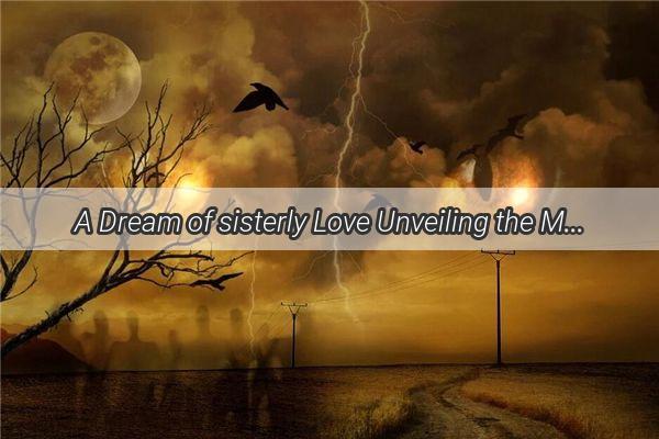 A Dream of sisterly Love Unveiling the Magic of Clothes in a Familys Heart